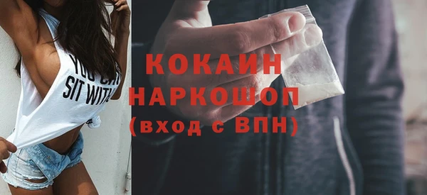 прущий лед Алзамай