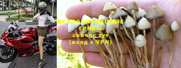 прущий лед Алзамай