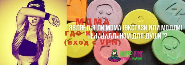 прущий лед Алзамай