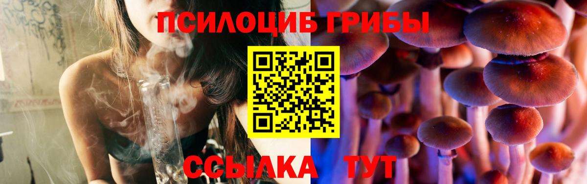 Менделеевск  Галлюциногенные грибы MAGIC MUSHROOMS  Вход с VPN 